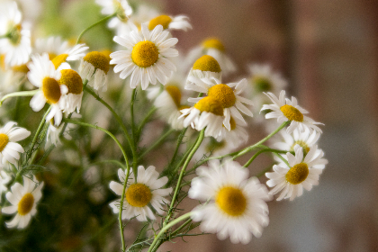1986期开奖结果震撼揭晓，大奖花落谁家引关注