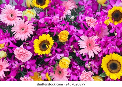 1946期大乐透开奖结果震撼揭晓